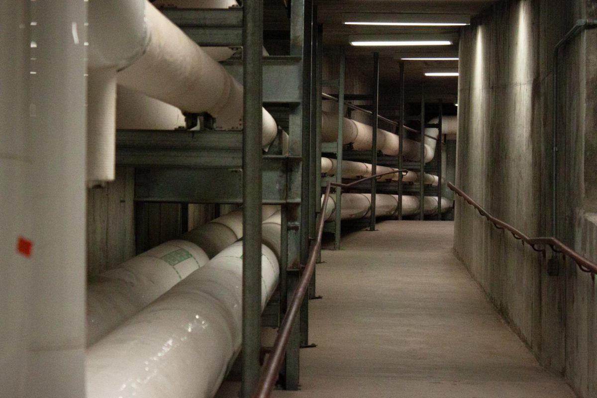 The darkness of the underground tunnel network leading from Bevier Hall toward Turner Hall on March 1. They connect several campus buildings to each other.