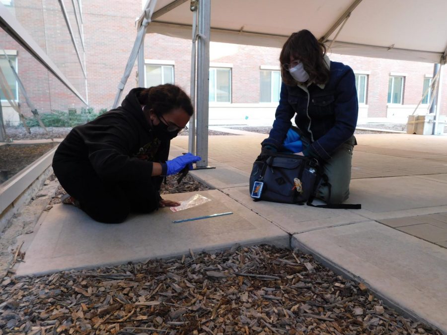 The Wildlife Society UIUC student chapter Vice President Izabelle Jaquet (left) and chapter President Emmarie Alexander (right) participate in the bird collection survey.