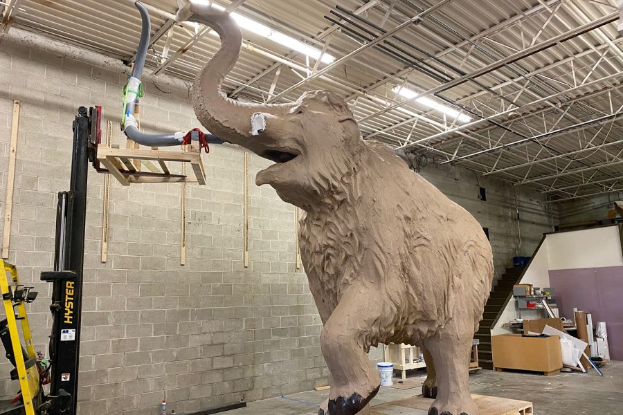 The mammoth statue, which is currently unfinished, will soon make its way to its final home on the south side of the Natural History Building.