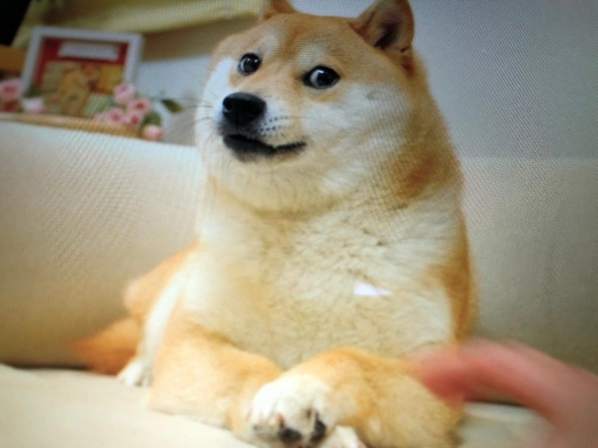 Kabsou, commonly known as “doge,” as featured on Atsuko Sato’s blog, dies at age 18.