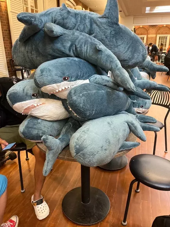 Stuffed sharks from IKEA known as blåhaj are piled on a table at the Courtyard Cafe in the Illini Union for a distribution that was run by Yuyang Zhao, senior in Engineering. They spent over $3,000 on around 140 blåhajar to distribute during the week of Sept. 12. 
